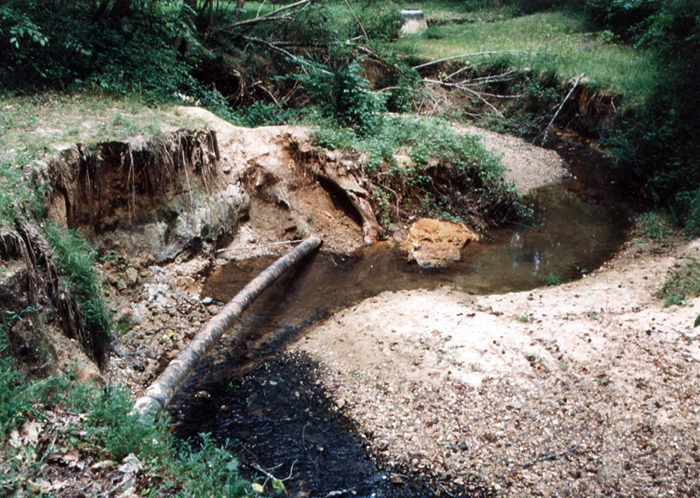 Severely eroded streambank can be successfully restored with soil bioengineering applications