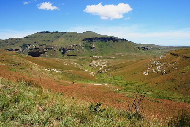 Picture showing Landscape