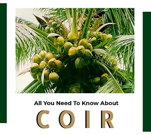 Image showing All you need to know about COIR