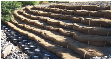 Erosion control products: cost effective alternatives for revegetation -  CoirGreen®