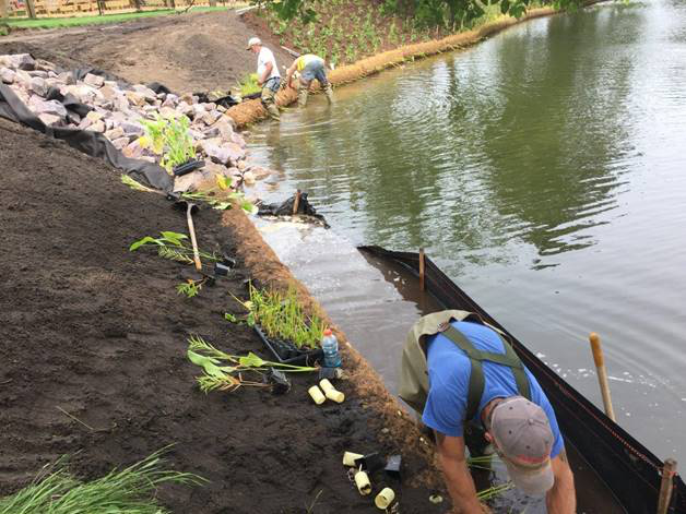 Picture showing Coir logs for shorelines