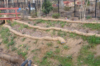 Picture showing Coir fiber logs