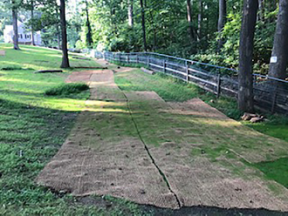 Image showing Coir logs for shorelines