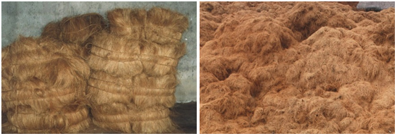 coir products