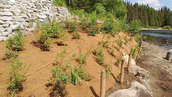 BioD-Mat 70 used for shoreline restoration