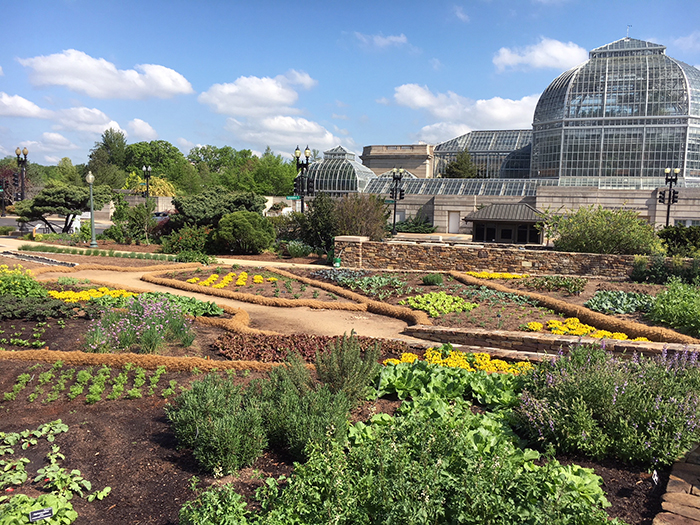 Coir Wattles in gardening