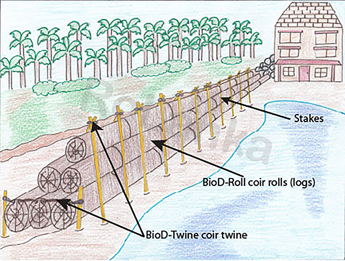 BioD-Roll coir logs being used for beach restoration