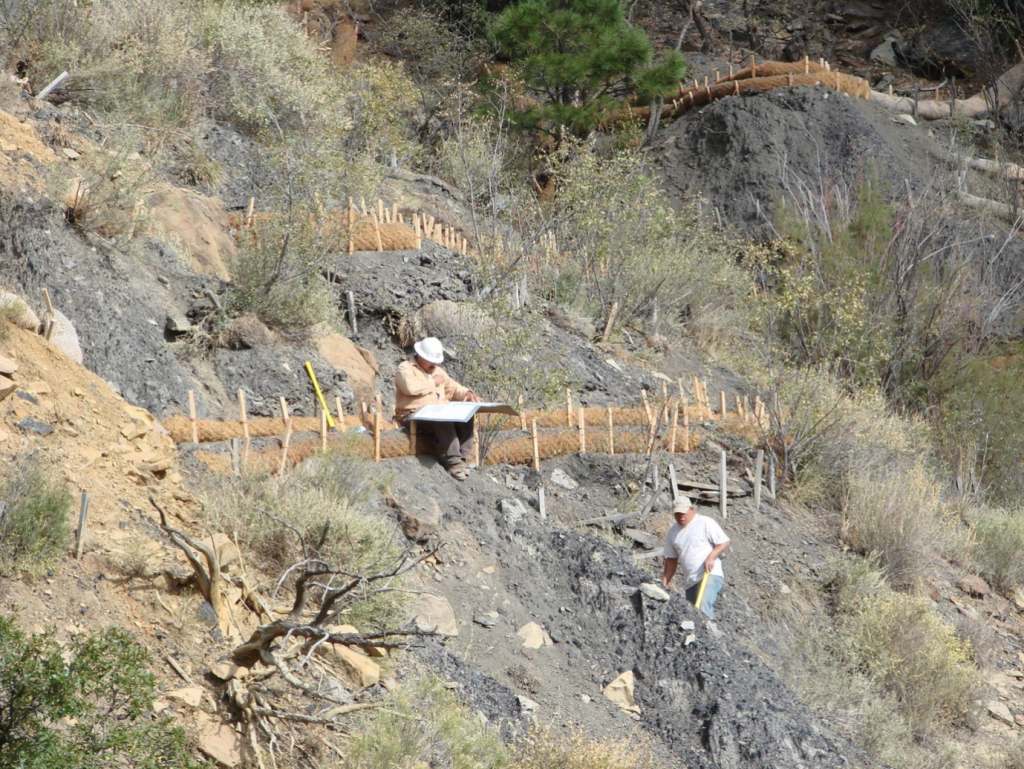 Coir log installation