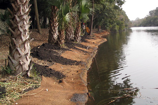 coir being used along a riverbank