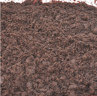 potting soil of fine coir particles used as a sustainable practice for green living
