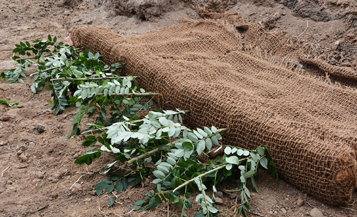 Coir block system for sustainable soil bioengineering