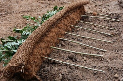 Coir logs for sustainable soil bioengineering - BioD Roll.