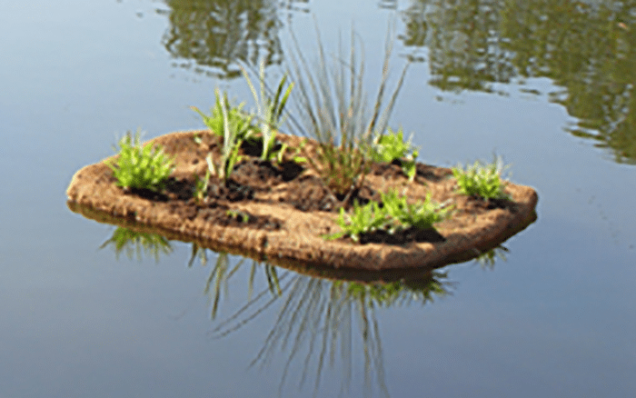 Coir for wetland restoration