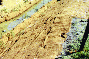 Extended temporary erosion control mat