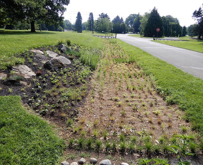 BioD-Mat 60 coir blanket used for erosion control 