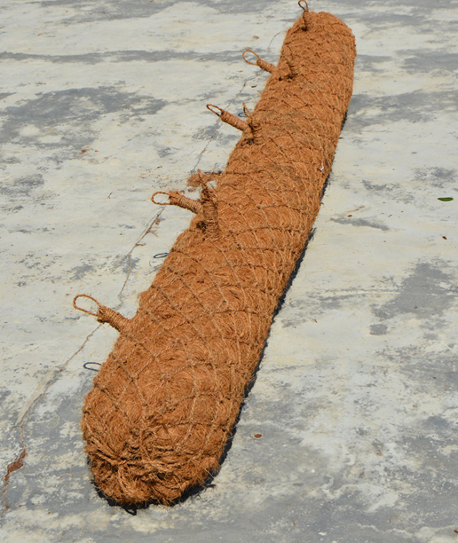 BioD-SuperLog circular coir log with planting holes.