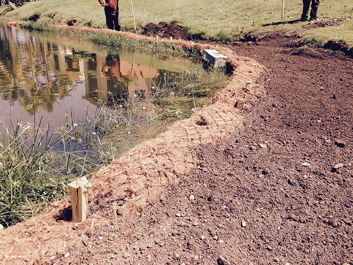 BioD-Roll coir logs installed near a water body to control erosion and promote vegetation growth