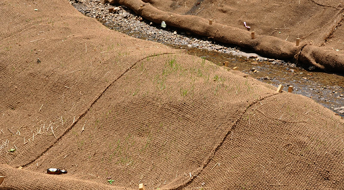 BioD-Mat blanket used for erosion control, showcasing its application in preventing soil erosion and promoting vegetation growth