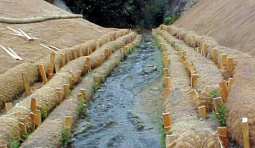 A site saved with BioD-Roll coir logs