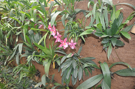 BioD-Liner installed in a landscape for effective erosion management and soil stabilization