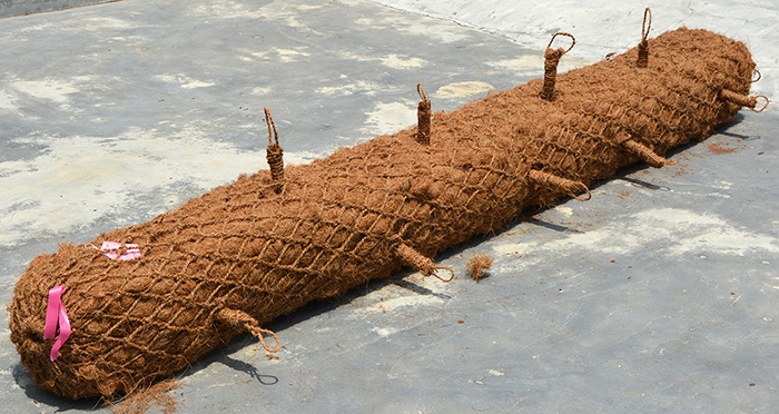 BioD-SuperLog coir log used for erosion control and streambank stabilization.