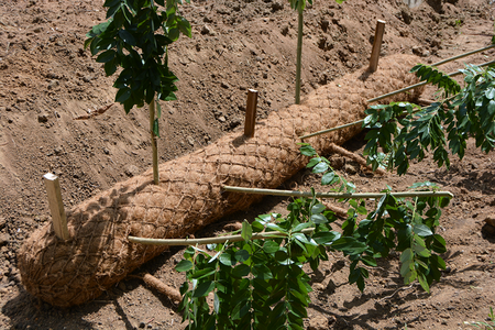  Coir soil engineering product used for erosion control and soil stabilization.