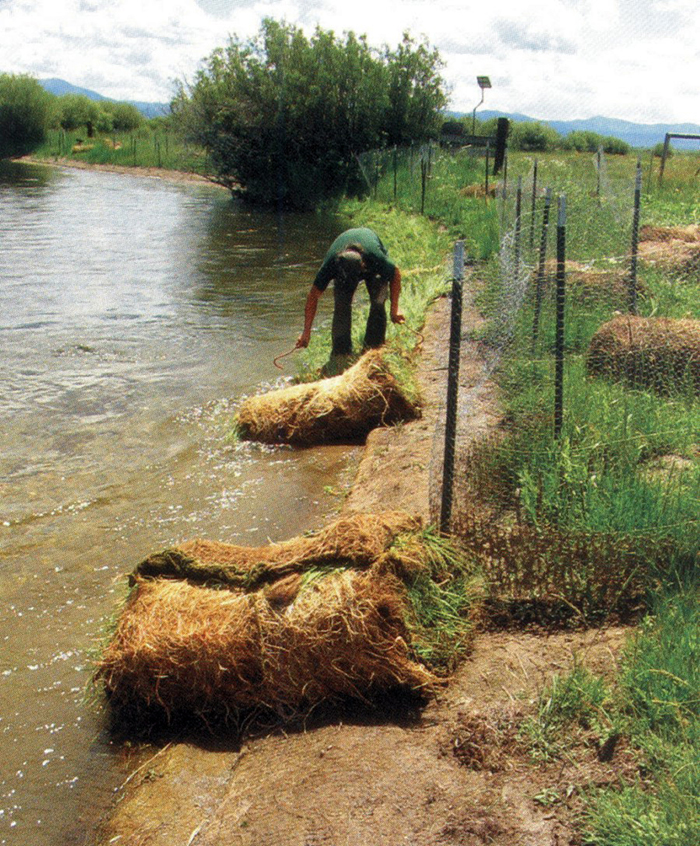 BioD-Pillow coir revegetation pillow placed in a wetland area for soil stabilization and vegetation support