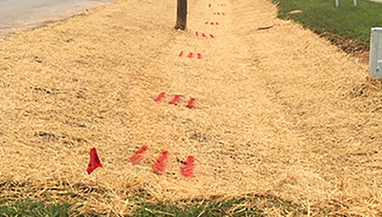 coir-based mats for temporary erosion control