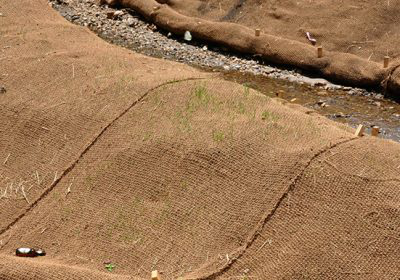 Woven bristle coir soil erosion control blanket