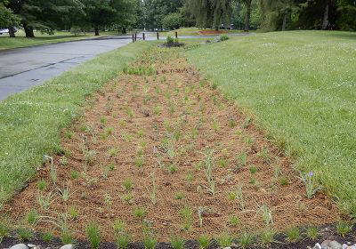 100% sustainable coir blankets