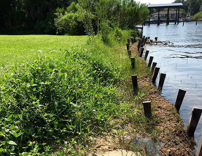 Coir logs placed across the beach