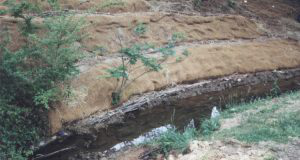 Coir product placed along a stream