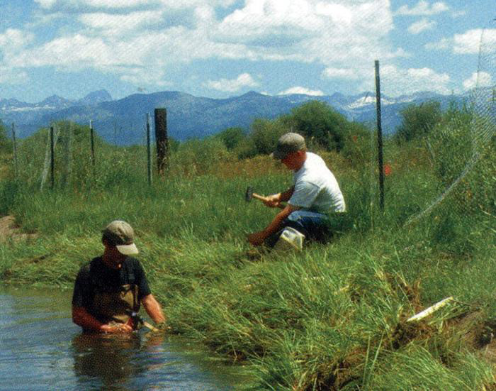 Men installing coir products along a body of water