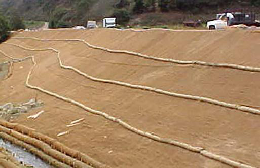 Successful restoration of a steep slope with BioD-Mat 70 woven bristle coir soil erosion control blanket.