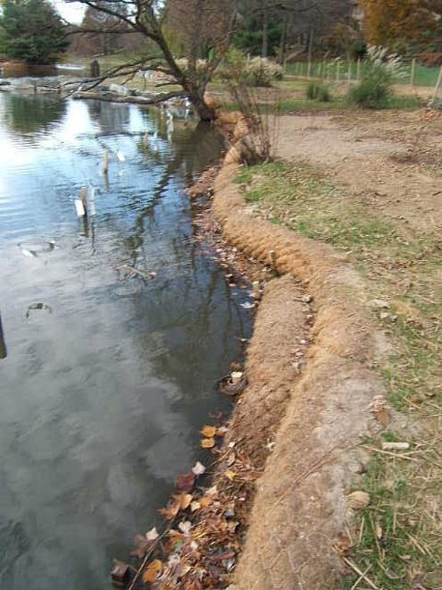 Water next to a shoreline