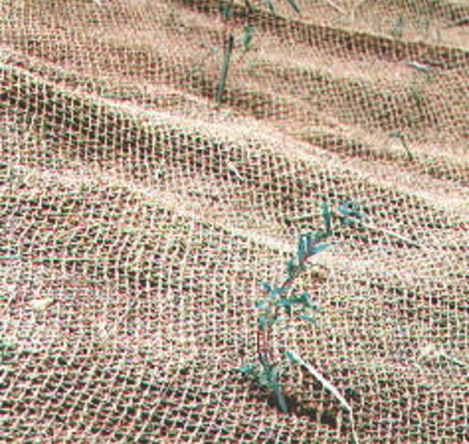 A soil erosion blanket