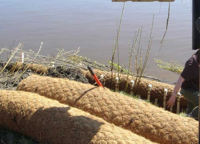 Coir blankets offer vegetation support and streambank restoration