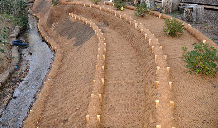 Coir logs along a streambank to prevent erosion