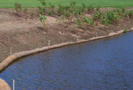 A steep slope lined with coir wattles
