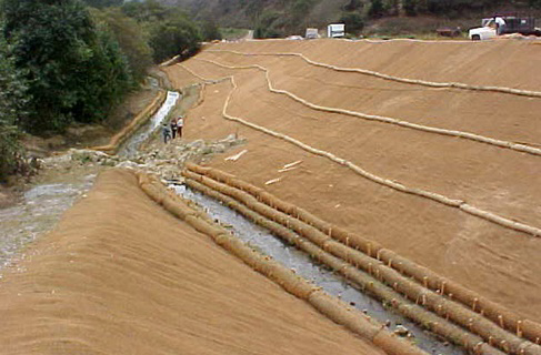 BioD rolls and woven blankets lining a shoreline