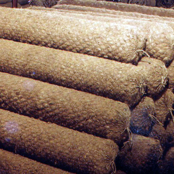 A pile of BioD-Rolls