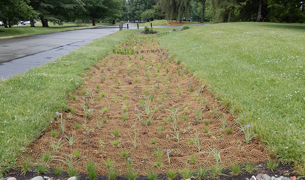 BioD mats used along a roadside