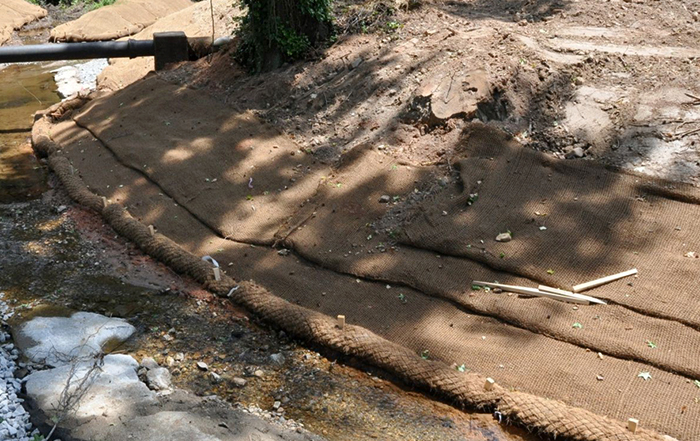 Successful streambank restoration with RoLanka's BioD-Mat 70 woven bristle coir mat and BioD-Roll 30L coir log.