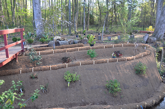 Plants growing over a coir mat