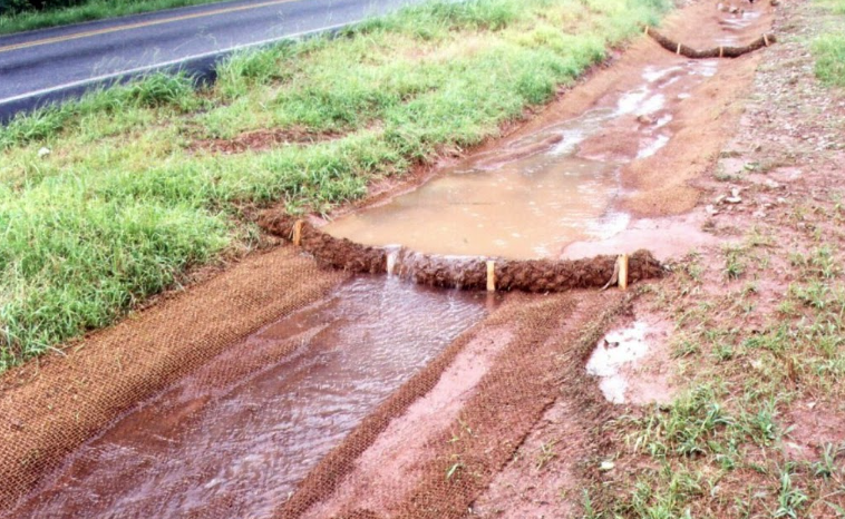 A coir mat for shoreline erosion protection