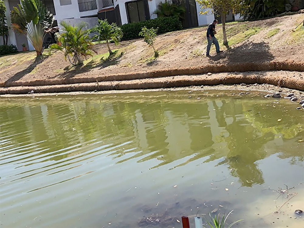 coir logs around a water body