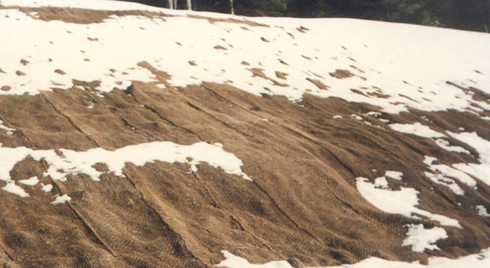 BioDMat40slopesnow9
