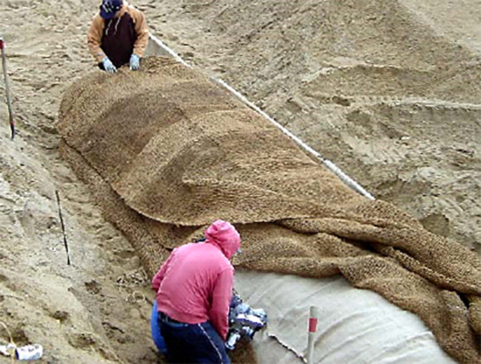 BioDMat90beach8
