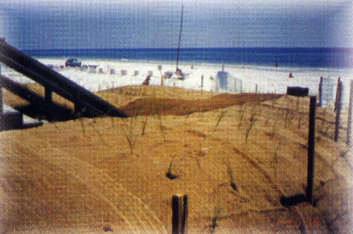 BioDOCFbeach8.jpg
