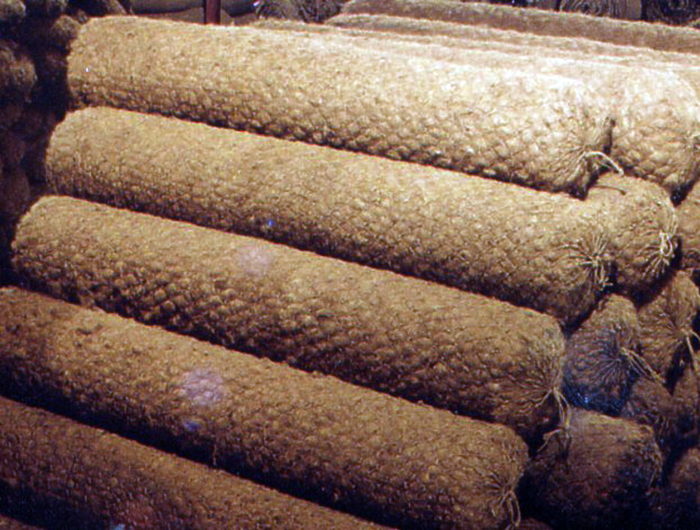 BioDRolllogs3